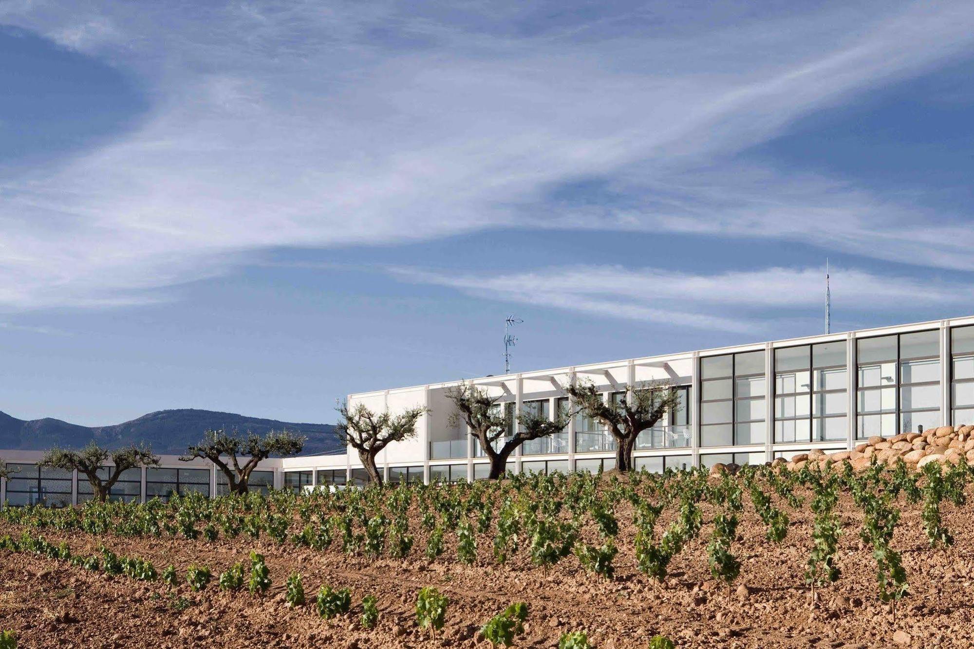 Hotel-Bodega Finca De Los Arandinos Entrena Eksteriør billede