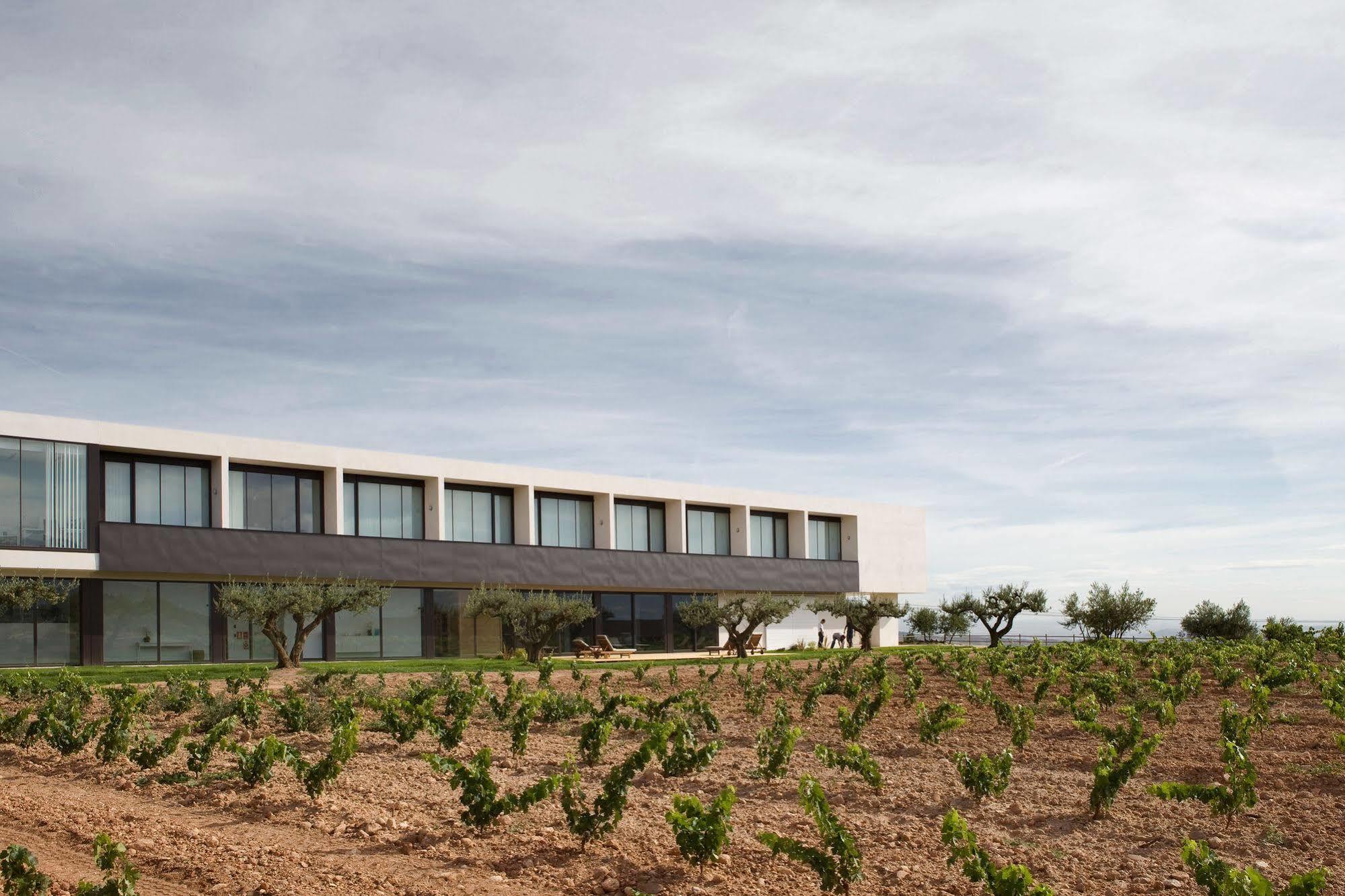 Hotel-Bodega Finca De Los Arandinos Entrena Eksteriør billede